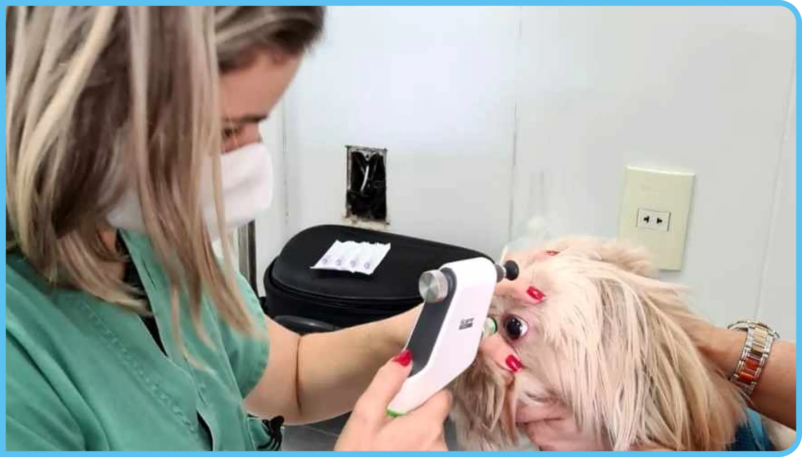 Oftalmologia Veterinária Oftalmologia Veterinária